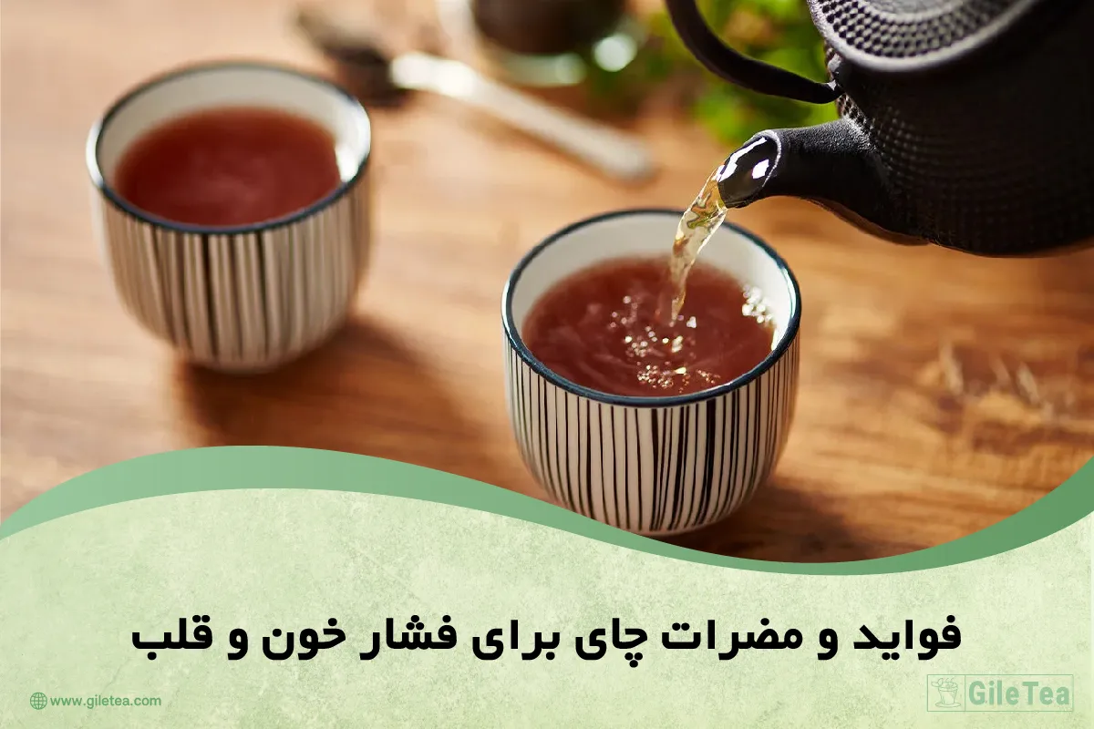 فواید و مضرات چای برای فشار خون و قلب
