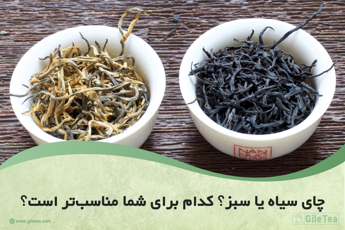 چای سیاه یا سبز ؟ کدام برای شما مناسب تر است؟