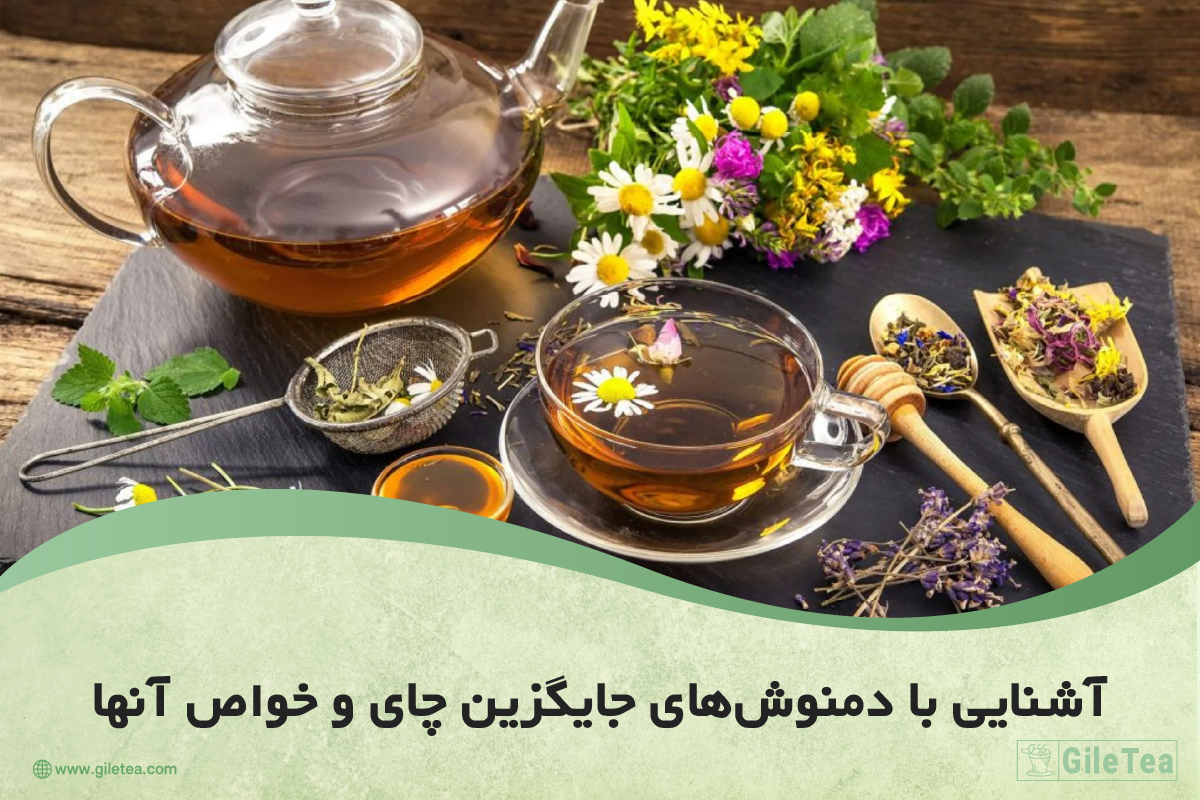 دمنوش های جایگزین چای و خواص آن