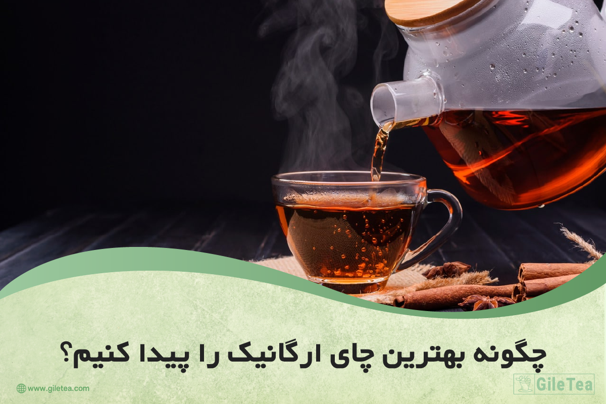 چگونه بهترین چای ارگانیک را پیدا کنیم؟