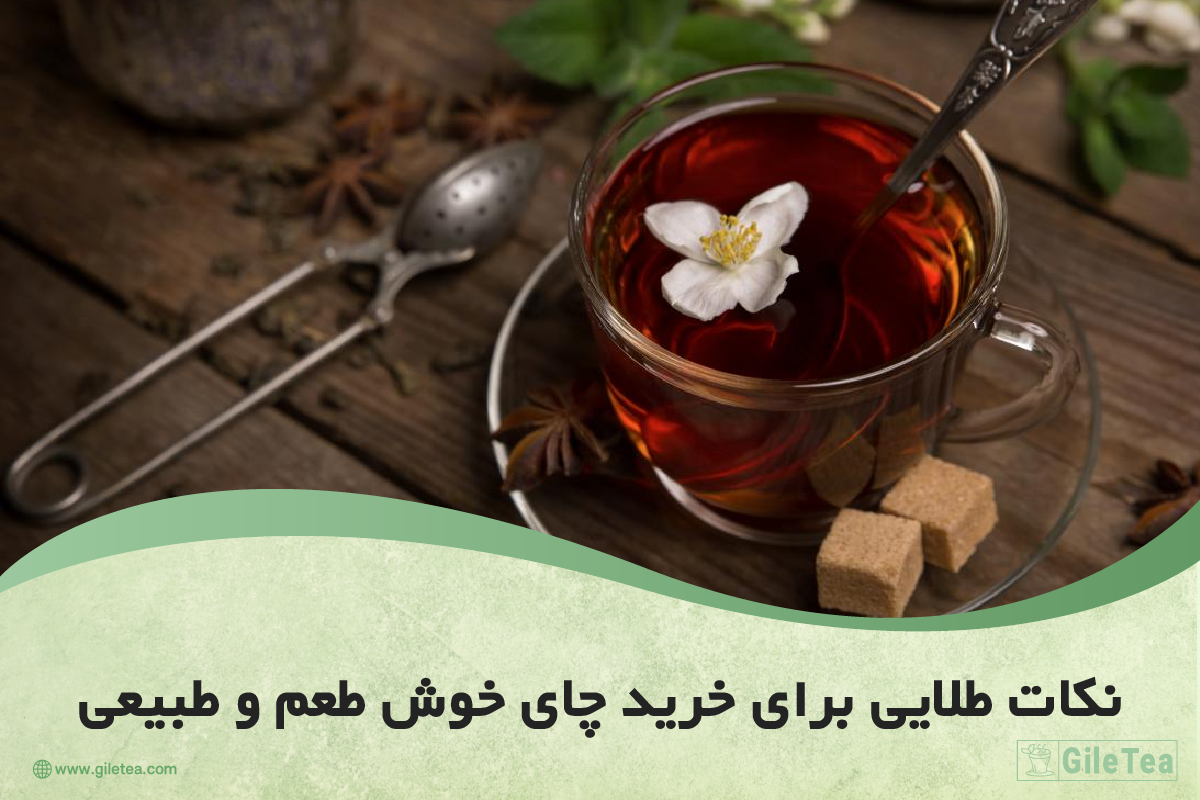نکات طلایی برای خرید چای خوش طعم