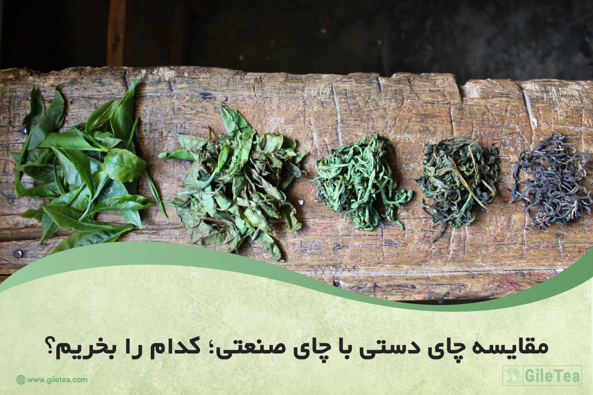 مقایسه چای دستی با چای صنعتی