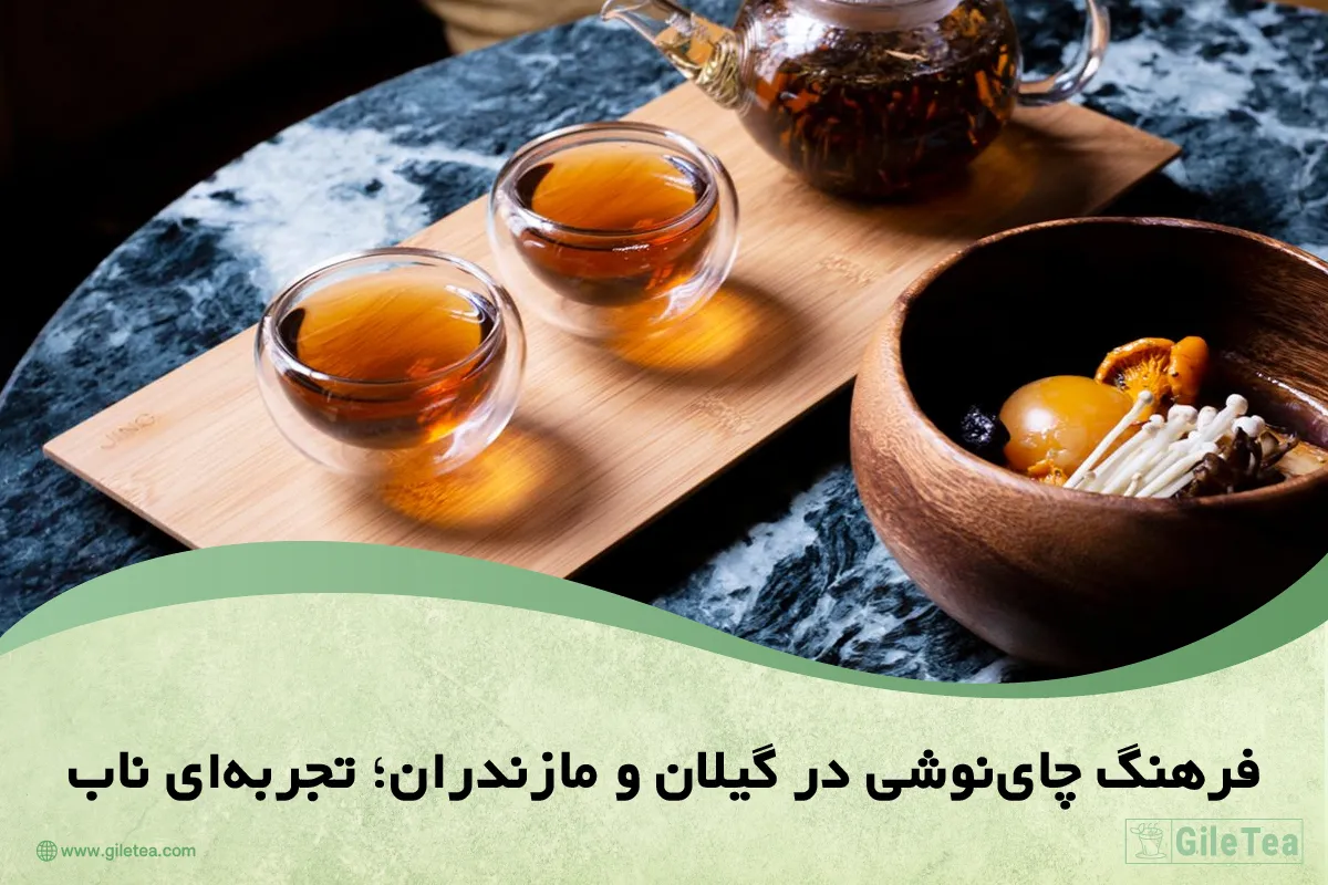 فرهنگ چای نوشی در گیلان و مازندران ؛ تجربه ای ناب