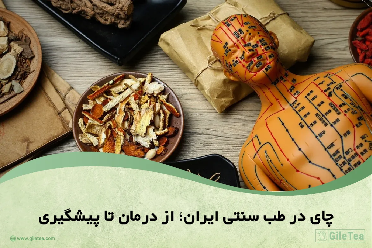 چای در طب سنتی ایران از درمان تا پیشگیری