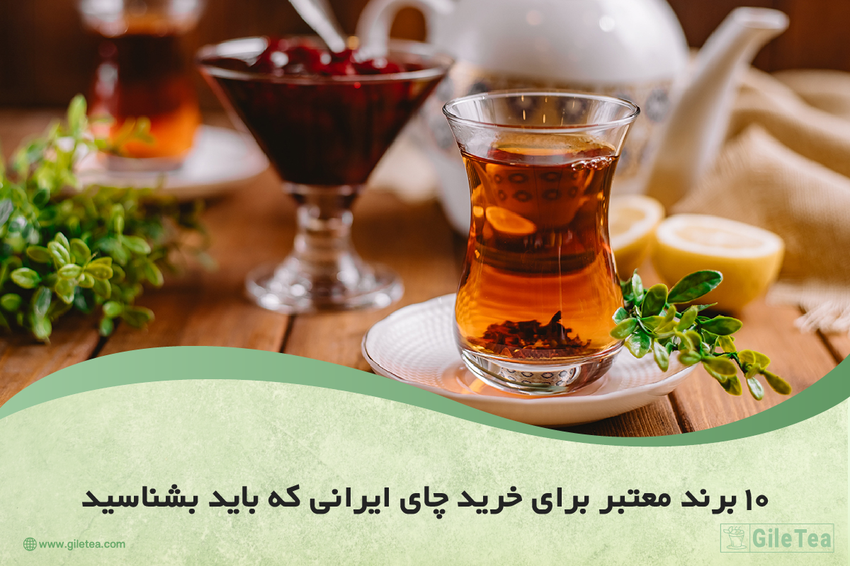 ۱۰ برند معتبر برای خرید چای ایرانی که باید بشناسید
